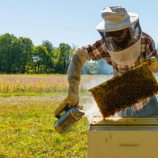 Техник-пчеловод